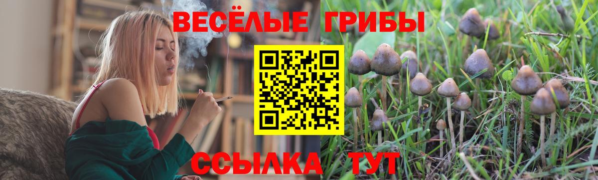 Псилоцибиновые грибы прущие грибы  Вход с VPN  Галлюциногенные грибы прущие грибы  Богородск 